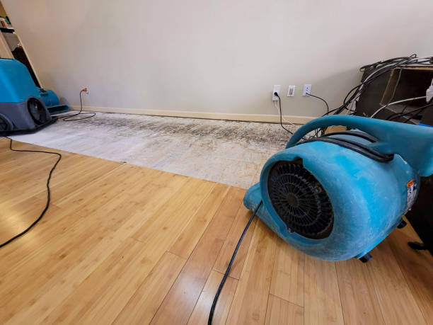 Professional Water Removal technician working in Waldo, OH